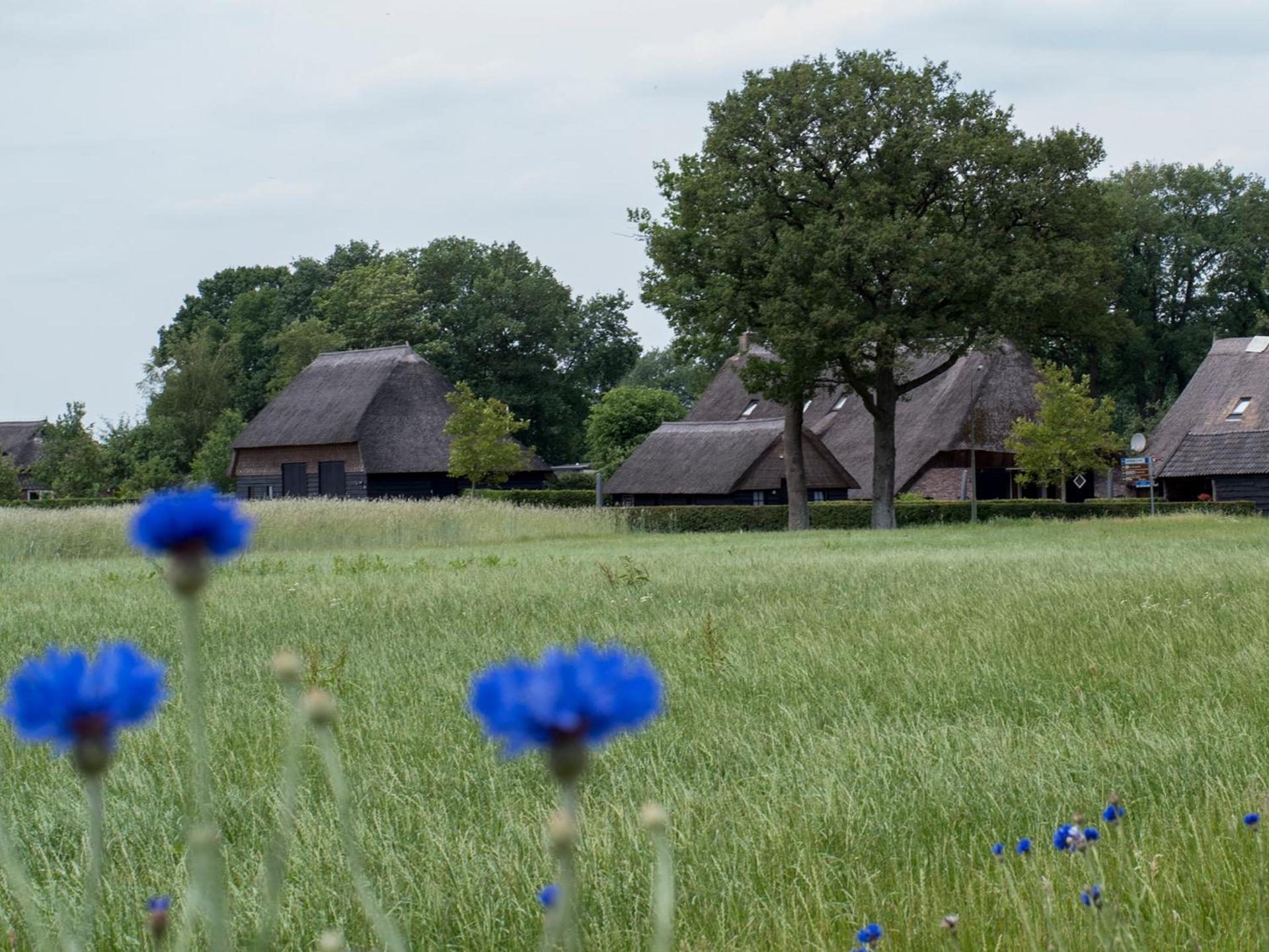 Gastenverblijf Lheederhof Dwingeloo Exteriör bild